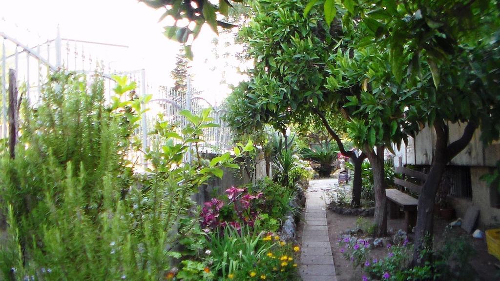 Villa Laria 特罗佩阿 外观 照片
